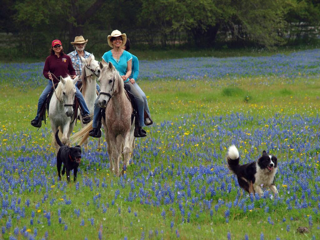 Blisswood Bed And Breakfast Ranch Cat Spring Екстериор снимка